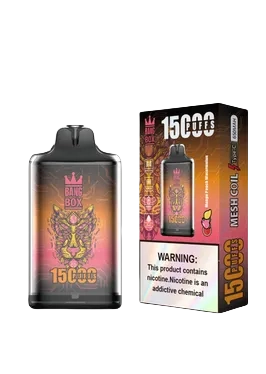 Bang Box 15000 Puffs disposable vape device