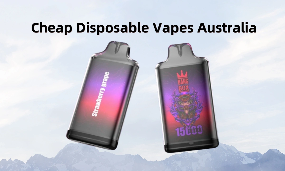 cheap disposable vapes australia
