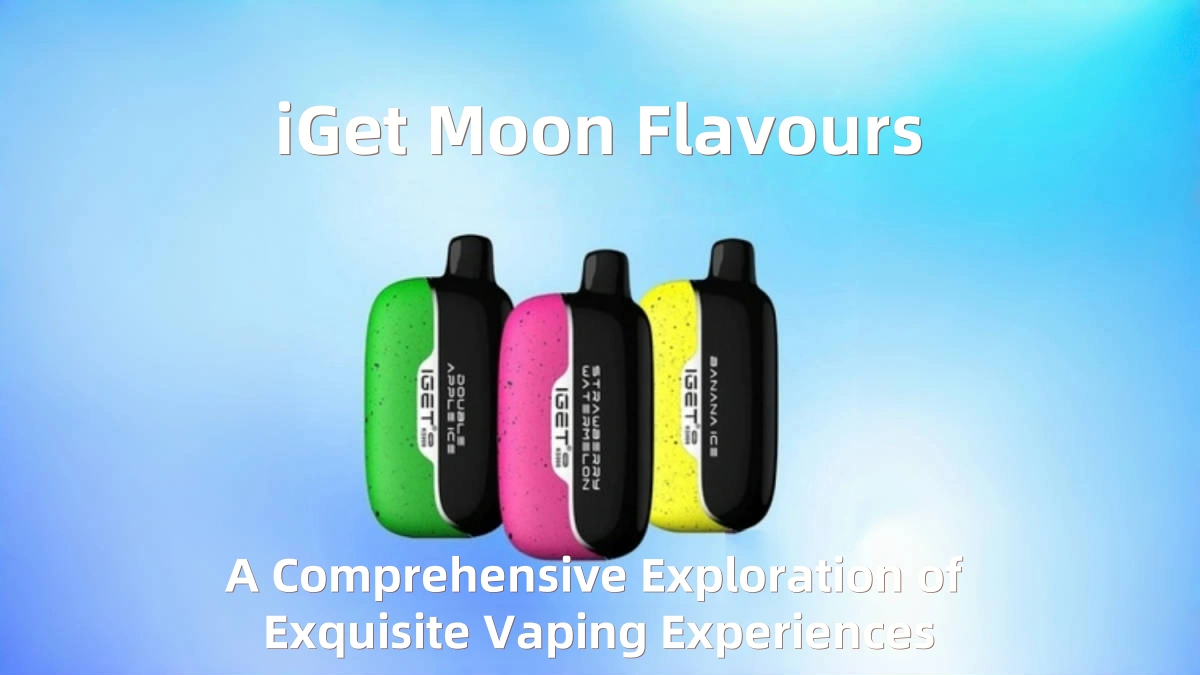 paradise point tobacconist - Professional Guide and Review