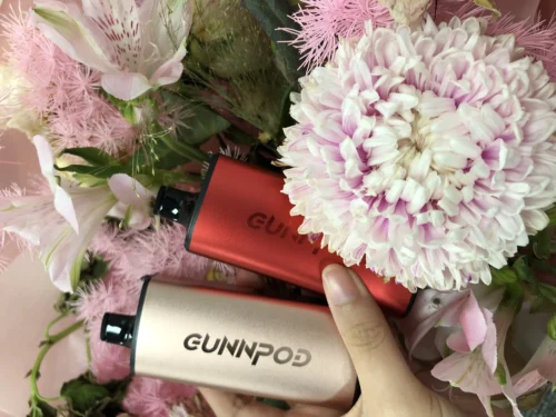 Gunnpod EVO BlackBerry Cherry Pomegranate ice 15000 photo review