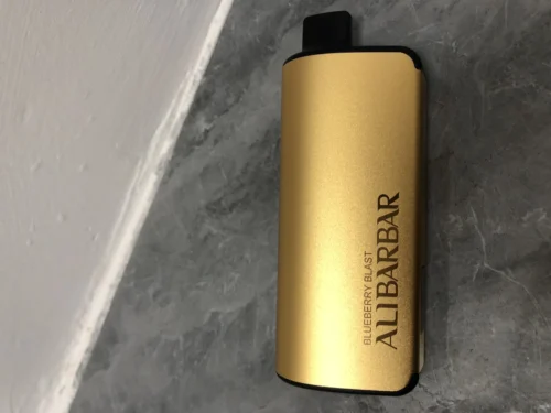 ALIBARBAR INGOT 9000 PUFFS – Blueberry Mint photo review